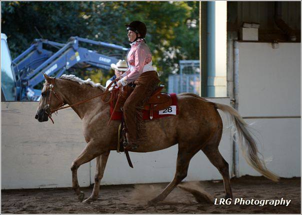 Tyrees Diamond Dolly owned by Dawn Garrett, full sister to our Zan Parr Dolly